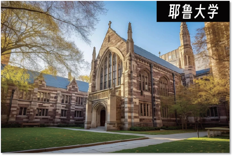 篮球训练视频教学软件下载大全安卓_2